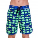 Fatos de banho para homem 69SLAM Short Boardshort Medium Elephant Green