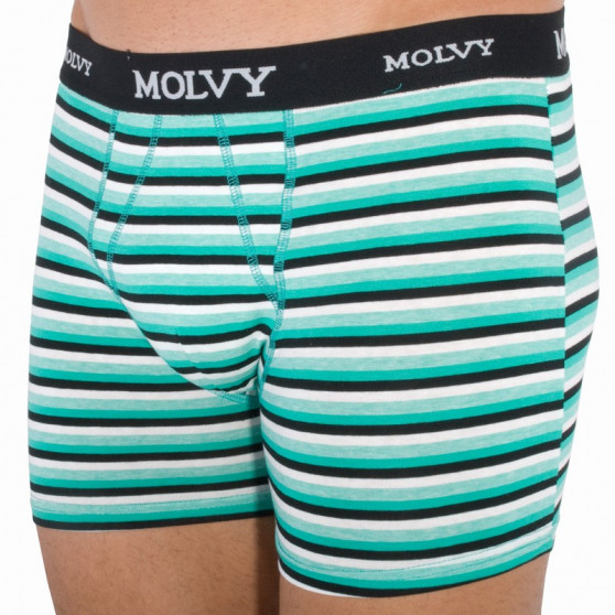 2PACK Boxers para homem Molvy multicolorido (KP-044-BEU)