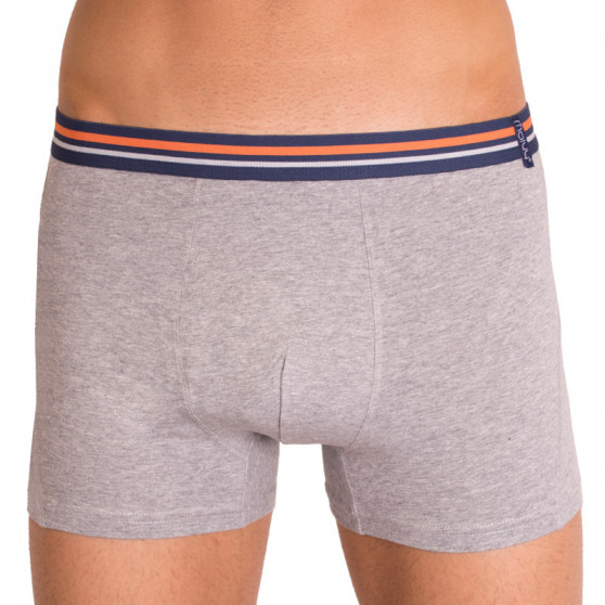 2PACK Boxers para homem  cinzento com riscas Molvy