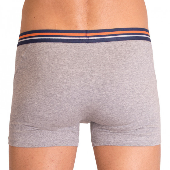 2PACK Boxers para homem  cinzento com riscas Molvy