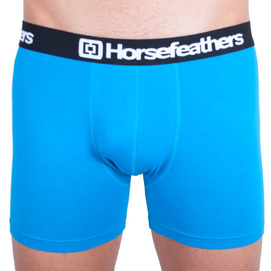 Boxers para homem Horsefeathers Dynasty azul (AA540F)