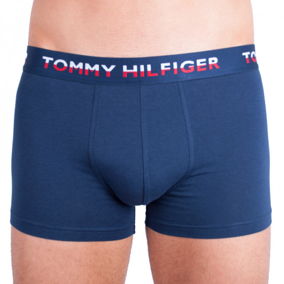 2PACK Boxers para homem Tommy Hilfiger multicolorido (UM0UM00746 222)