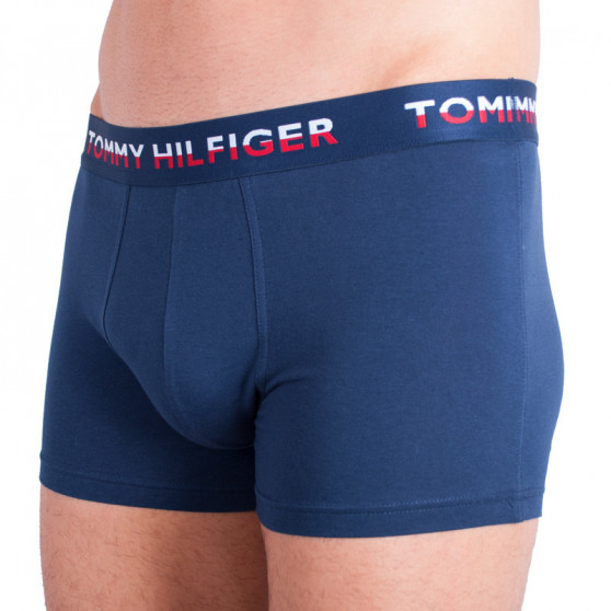 2PACK Boxers para homem Tommy Hilfiger multicolorido (UM0UM00746 222)