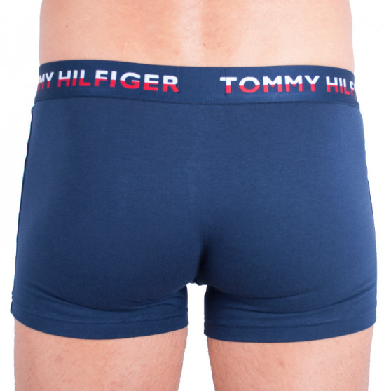 2PACK Boxers para homem Tommy Hilfiger multicolorido (UM0UM00746 222)