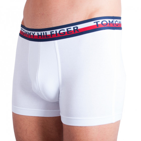 2PACK Boxers para homem Tommy Hilfiger multicolorido (UM0UM00746 222)