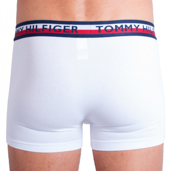 2PACK Boxers para homem Tommy Hilfiger multicolorido (UM0UM00746 222)