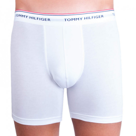 3PACK Boxers para homem Tommy Hilfiger multicolorido (UM0UM00010 004)