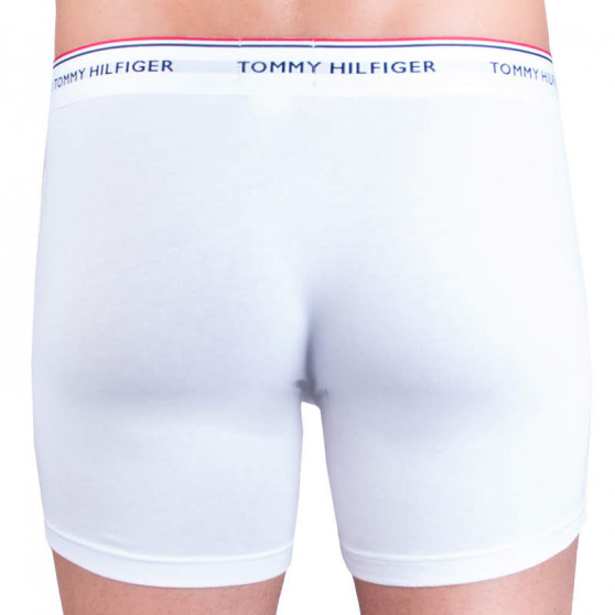 3PACK Boxers para homem Tommy Hilfiger multicolorido (UM0UM00010 004)