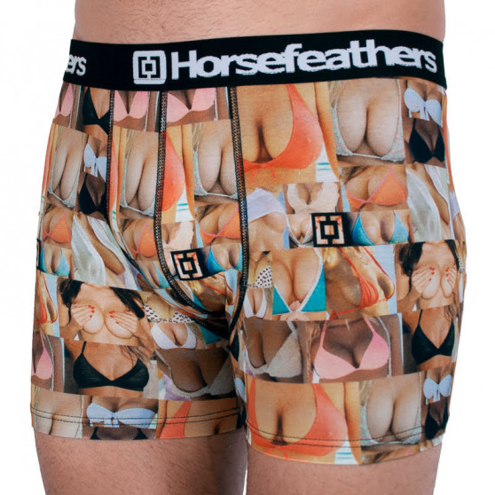 Cuecas boxer para homem Horsefeathers Sidney boobs (AA1071N)