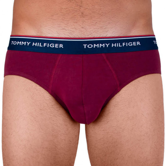 3PACK cuecas para homem Tommy Hilfiger multicolorido (1U87903766 096)