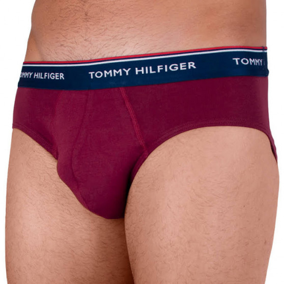 3PACK cuecas para homem Tommy Hilfiger multicolorido (1U87903766 096)