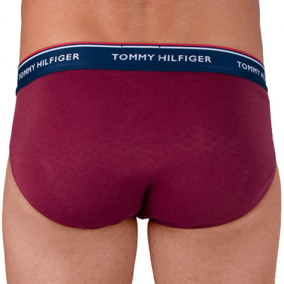 3PACK cuecas para homem Tommy Hilfiger multicolorido (1U87903766 096)