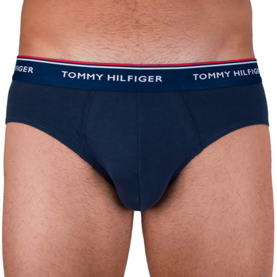 3PACK cuecas para homem Tommy Hilfiger multicolorido (1U87903766 096)