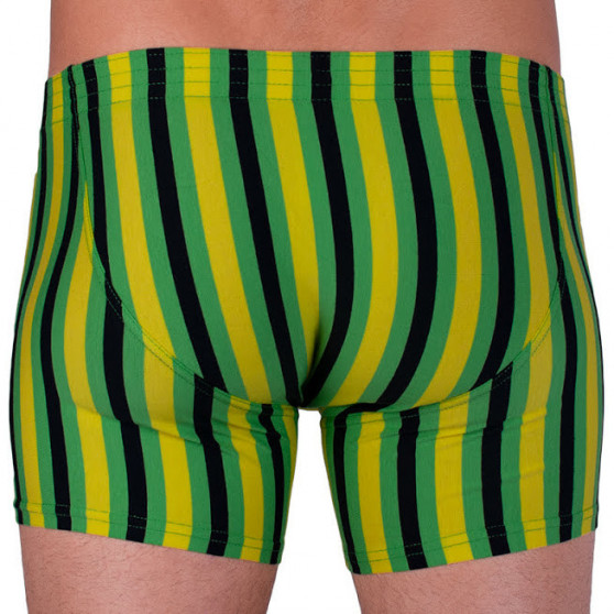 Boxers para homem Styx longo elástico clássico multicolorido (F865)