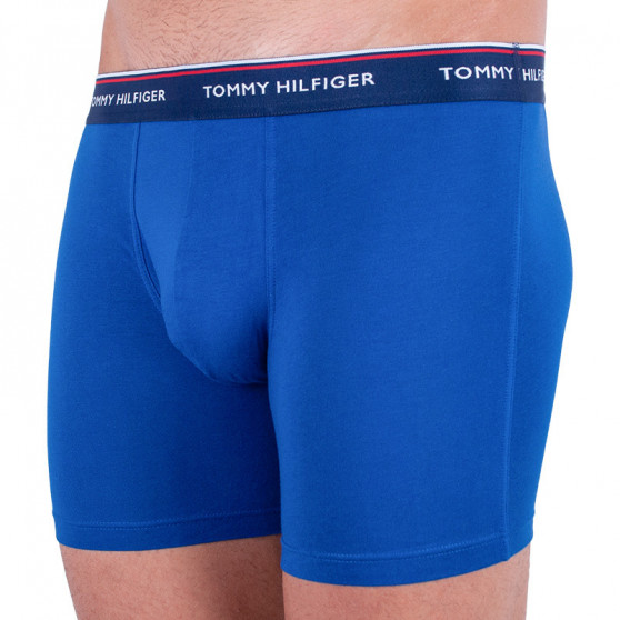 3PACK Boxers para homem Tommy Hilfiger multicolorido (UM0UM00010 052)