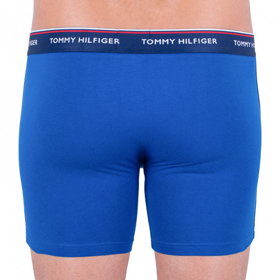 3PACK Boxers para homem Tommy Hilfiger multicolorido (UM0UM00010 052)