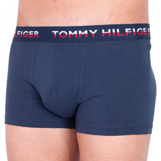 2PACK Boxers para homem Tommy Hilfiger multicolorido (UM0UM00746 006)