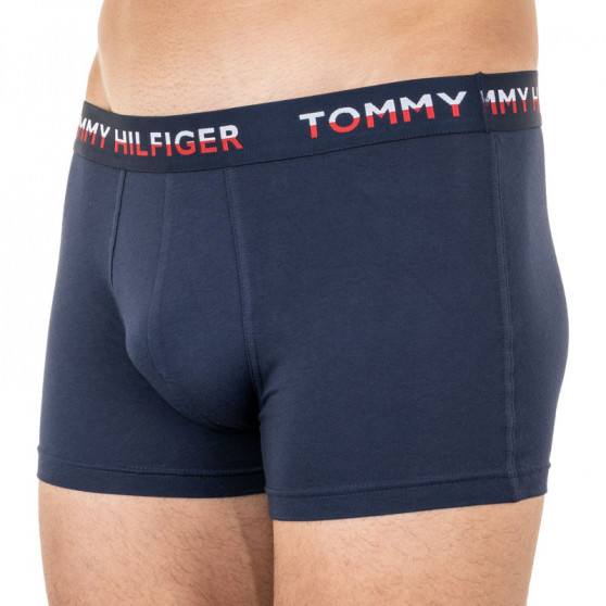 2PACK Boxers para homem Tommy Hilfiger multicolorido (UM0UM01233 088)