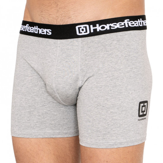 3PACK Boxers para homem Horsefeathers multicolorido (AM067D)