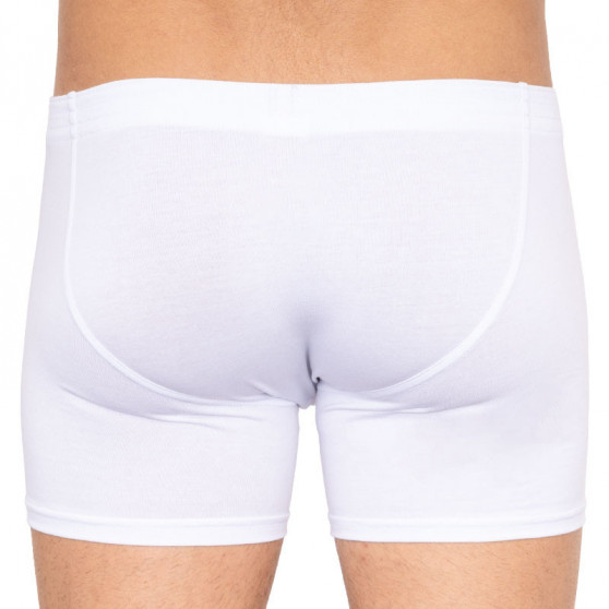 Boxers para homem Styx longo elástico clássico branco (F1061)