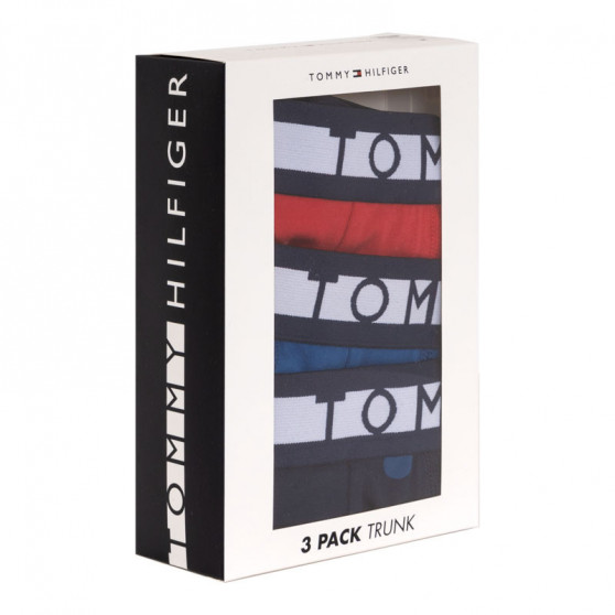 3PACK Boxers para homem Tommy Hilfiger multicolorido (UM0UM01565 018)