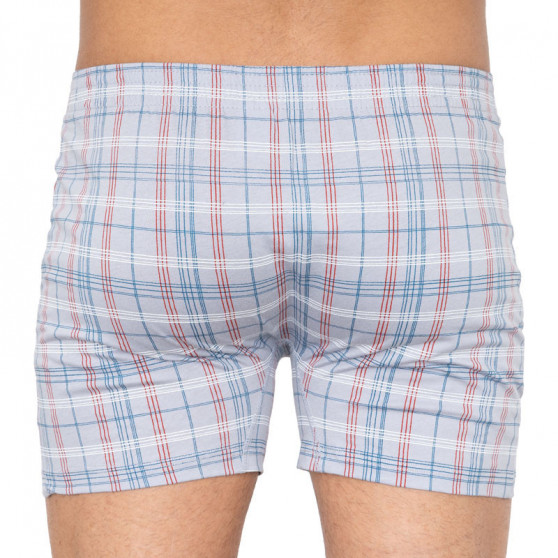 Boxers para homem Andrie cinzento (PS 5275d)