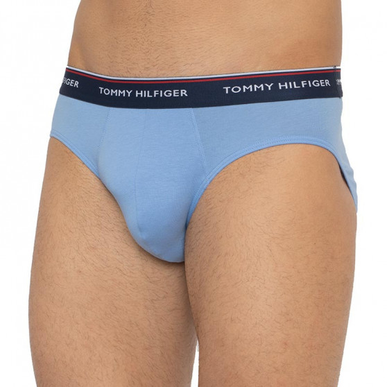 3PACK cuecas para homem Tommy Hilfiger multicolorido (1U87903766 0RV)