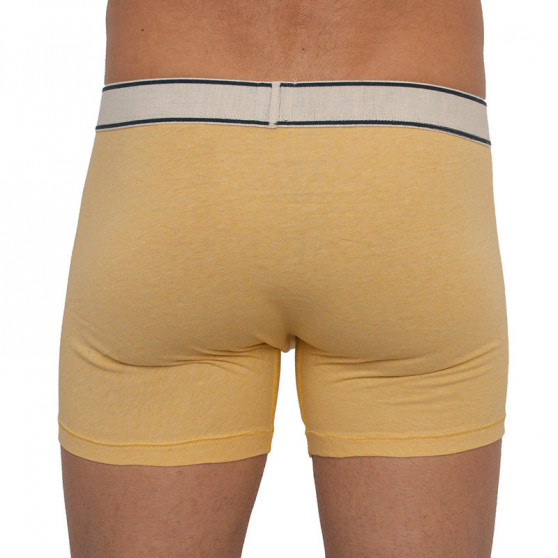 2PACK Boxers para homem Levis multicolorido (905010001 002)