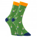 Meias alegres Dots Socks com cupcakes (DTS-SX-444-Z)