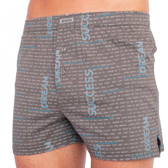 Boxers para homem Andrie verde-cinzento (PS 5457 D)