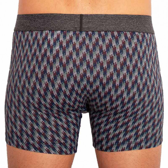 2PACK Boxers para homem Levis multicolorido (100000514 001)