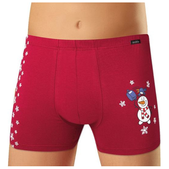 Boxers para homem Andrie burgundy (PS 5524 C)