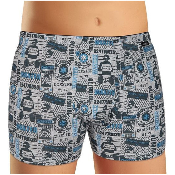 Boxers para homem Andrie cinzento (PS 5340 B)