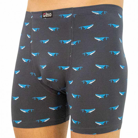 Boxers para homem Gino cinzento (74126)