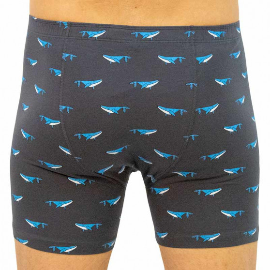 Boxers para homem Gino cinzento (74126)