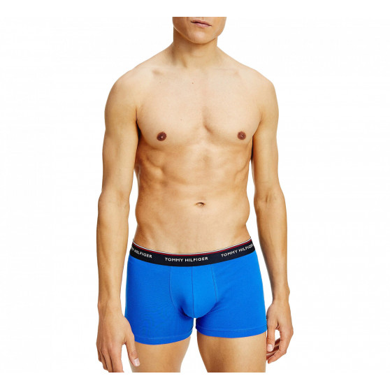 3PACK Boxers para homem Tommy Hilfiger multicolorido (1U87903842 0T1)