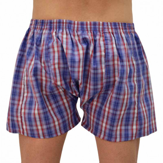 Boxers para homem Styx clássico elástico multi-colorido (A110)