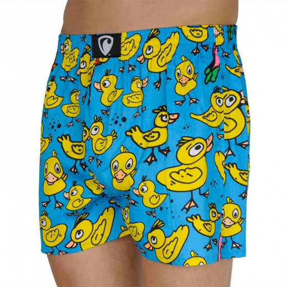 Boxers para homem Represent exclusivo Ali happy ducks