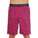 Calções para homem Tommy Hilfiger multicolorido (UM0UM01765 0NX)