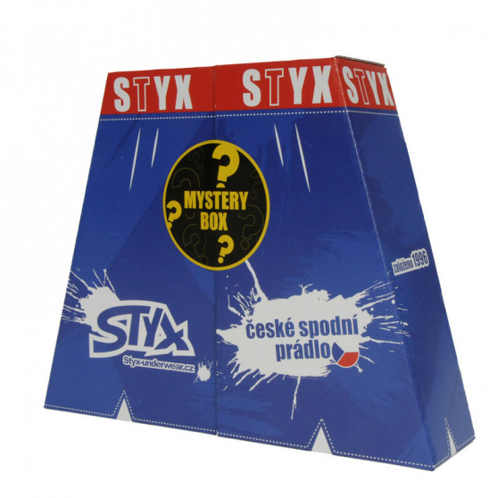 MYSTERY BOX - 5PACK Boxers para mulher  elástico desportivo multicolorido Styx