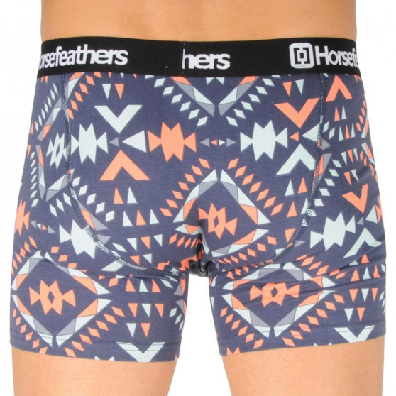 Boxers para homem Horsefeathers Sidney aztec (AM070V)