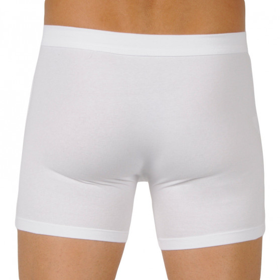 Boxers para homem Bellinda branco (BU858445-030)