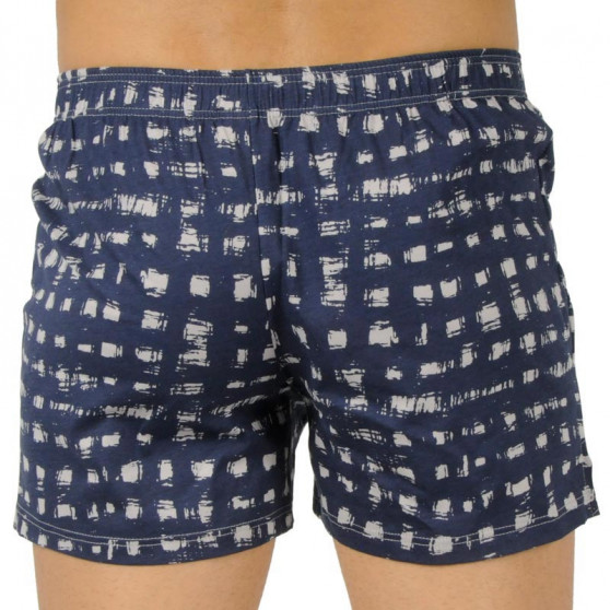 Boxers para homem Andrie cinzento (PS 5570 C)