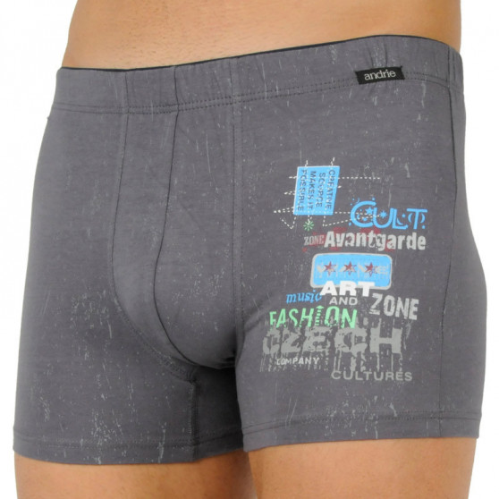 Boxers para homem Andrie cinzento (PS 5588 B)