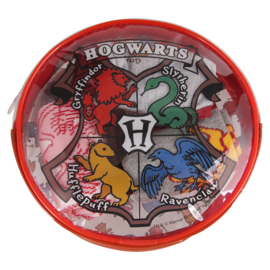 4PACK Conjunto de roupa interior para rapariga Cerdá Harry Potter multicolorido (2200007424)