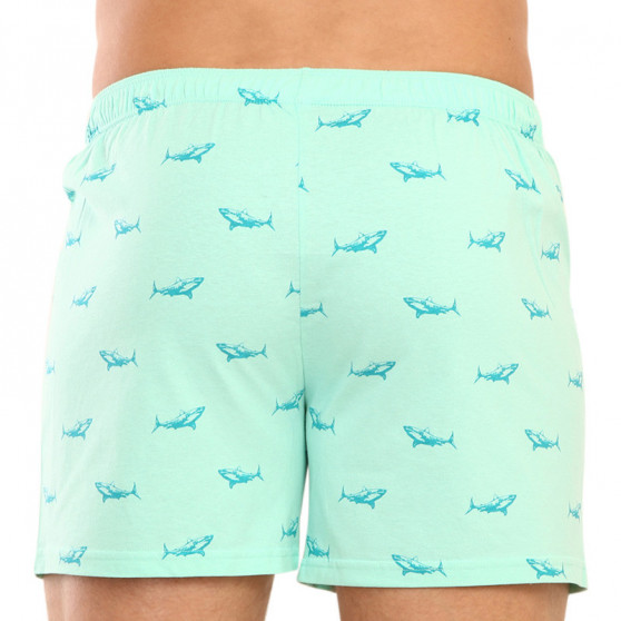 Boxers para homem Gino green (75172)