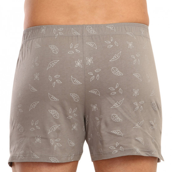 Boxers para homem Andrie cinzento (PS 5543 C)