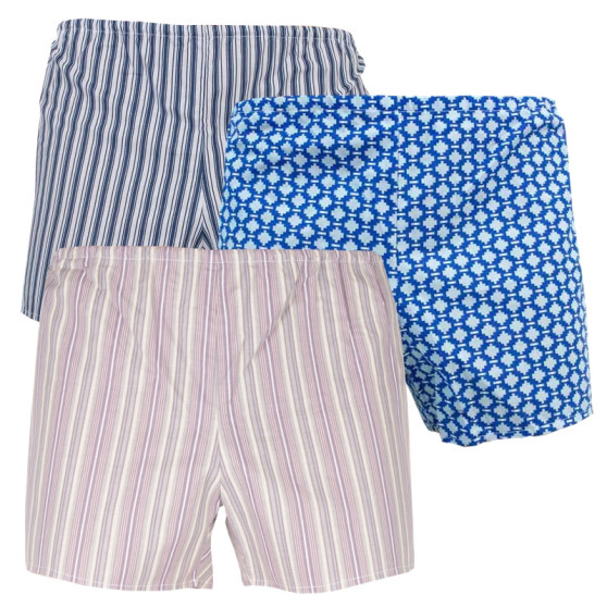 3PACK Boxers clássicos para homem Foltýn multicolorido (K283948)