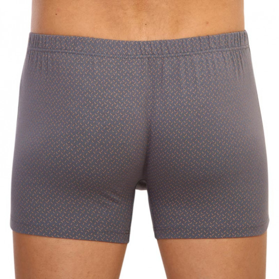 Boxers para homem Andrie cinzento (PS 5596 B)