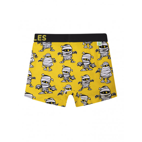 Boxers alegres para rapaz Dedoles Mummies (GMBB107)